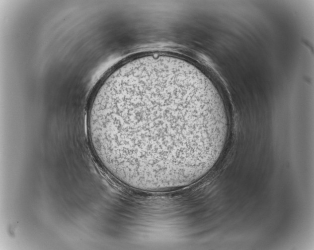 X0000102461320200808291534