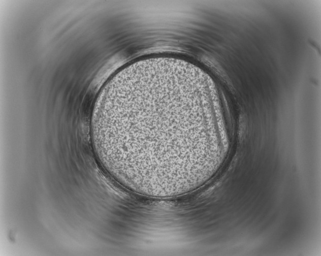 X0000102461321200808291534