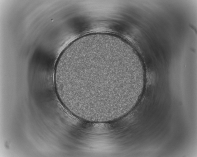 X0000102461322200808291534