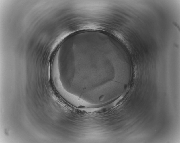 X0000102461323200808291534