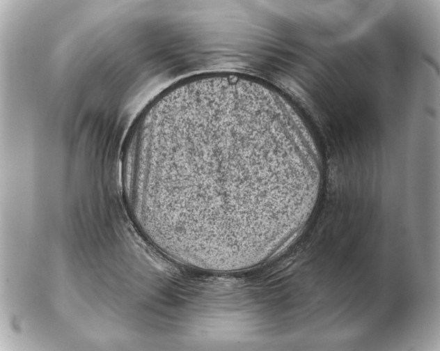 X0000102461324200808291534