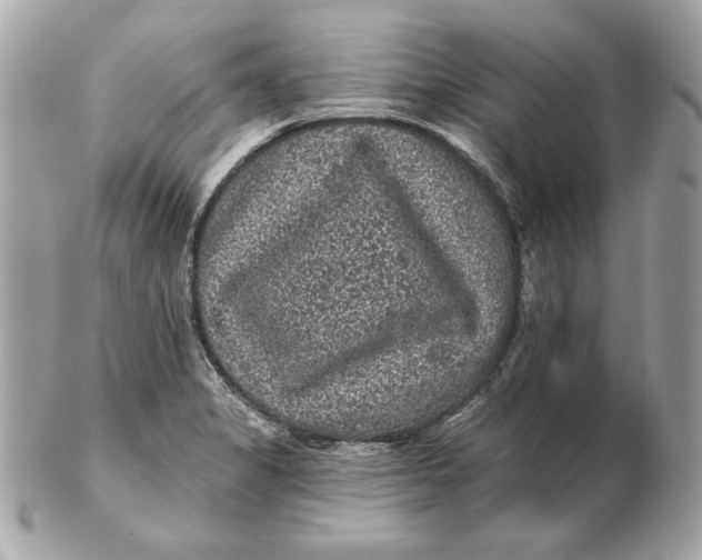 X0000102461325200808291534