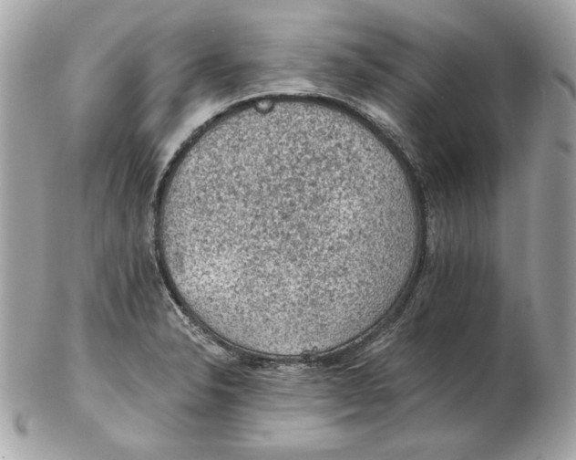 X0000102461326200808291534