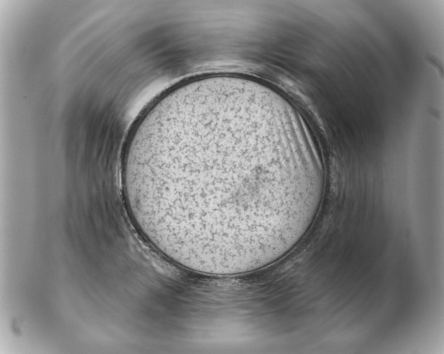 X0000102461328200808291534