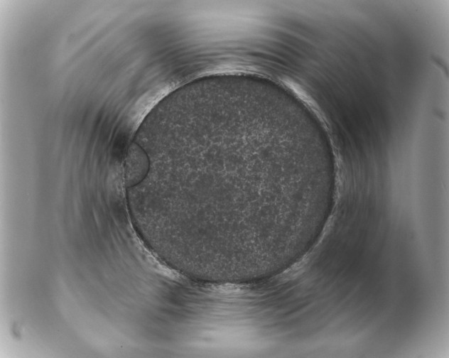 X0000102461329200808291534