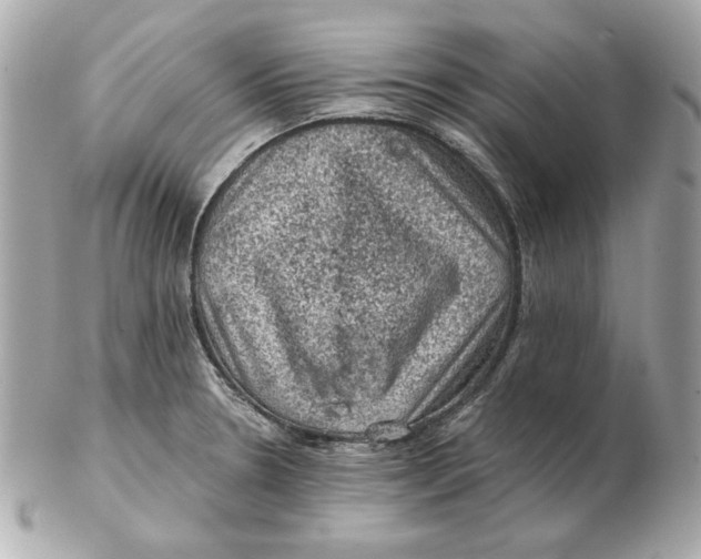 X0000102461330200808291534