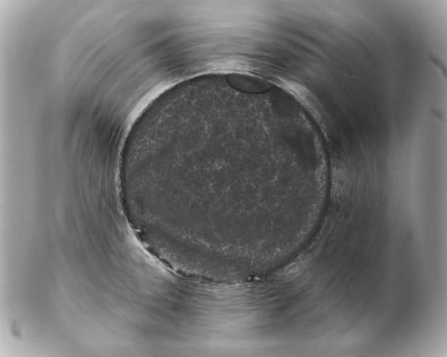 X0000102461331200808291534