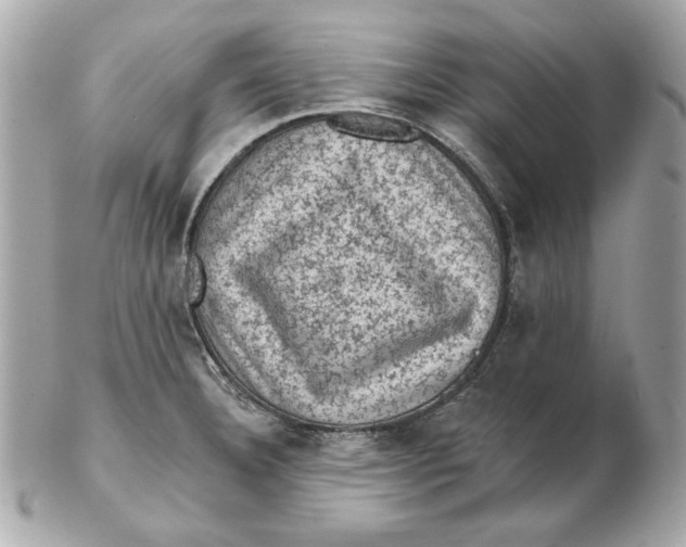 X0000102461332200808291534