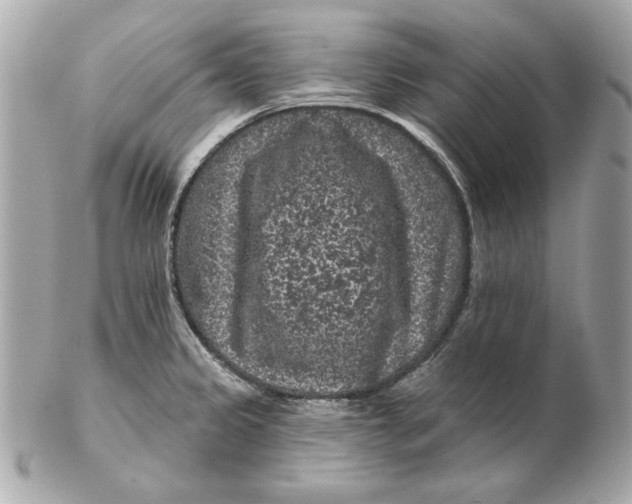 X0000102461333200808291534