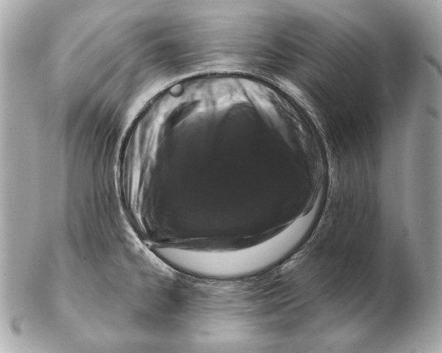 X0000102461334200808291534