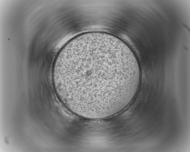 X0000102461336200808291534