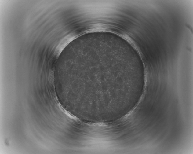 X0000102461337200808291534