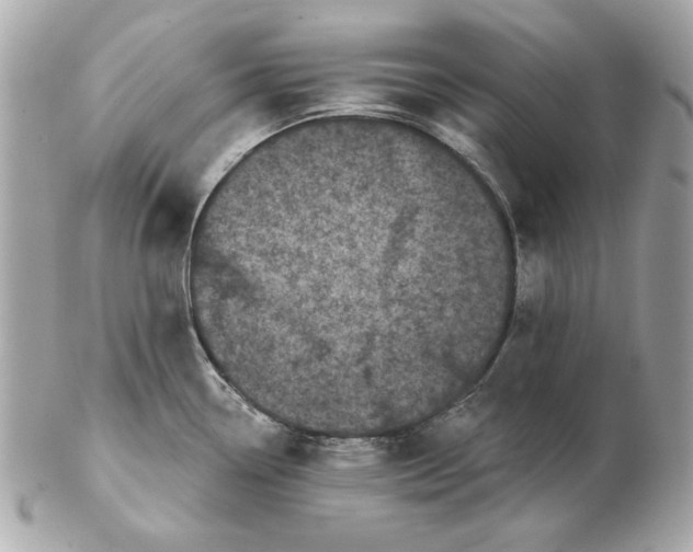 X0000102461338200808291534