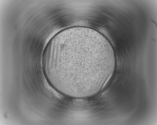 X0000102461339200808291534