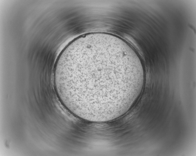 X0000102461340200808291534