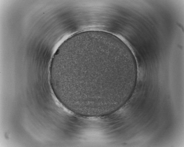 X0000102461341200808291534