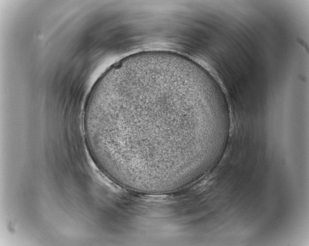 X0000102461342200808291534