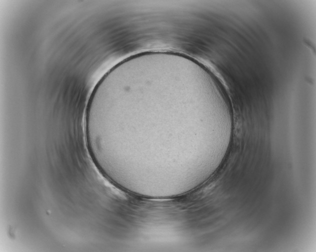 X0000102461343200808291534