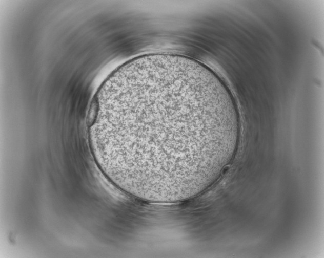 X0000102461344200808291534