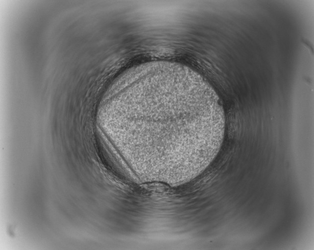 X0000102461345200808291533