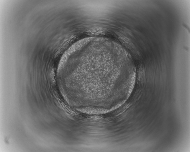 X0000102461346200808291533