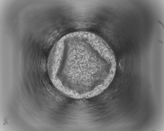 X0000102461348200808291533