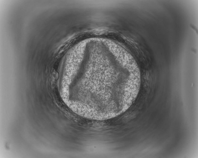 X0000102461349200808291533