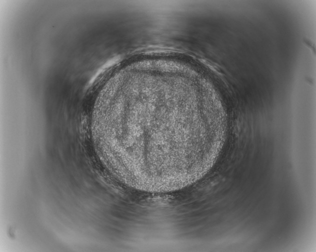 X0000102461351200808291533