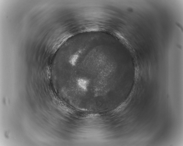 X0000102461353200808291533