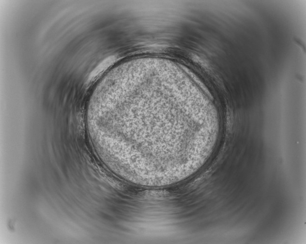 X0000102461354200808291533