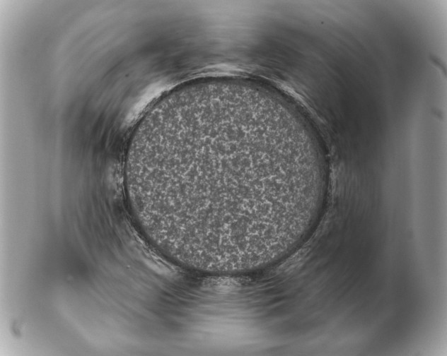 X0000102461355200808291533