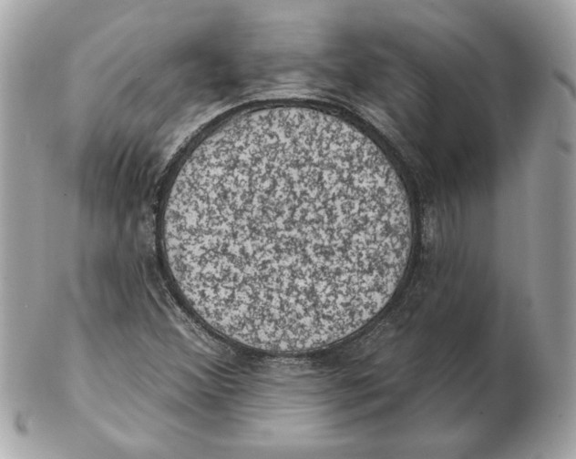 X0000102461356200808291533