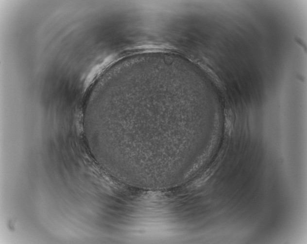 X0000102461357200808291533