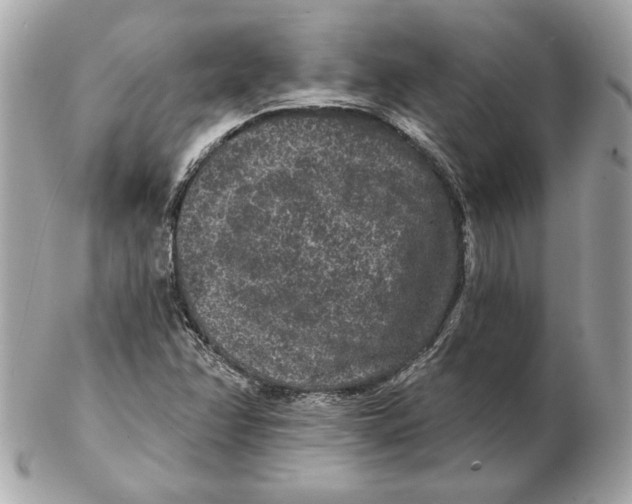 X0000102461358200808291533