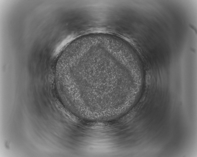 X0000102461359200808291533