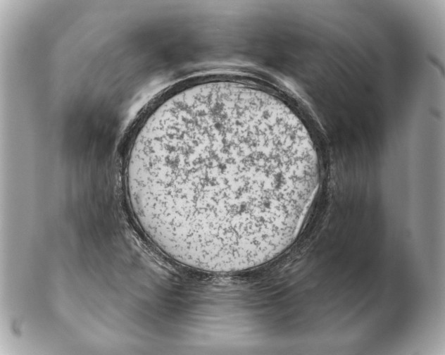 X0000102461360200808291533