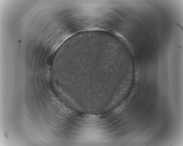 X0000102461361200808291533