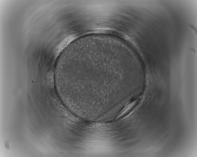 X0000102461362200808291533