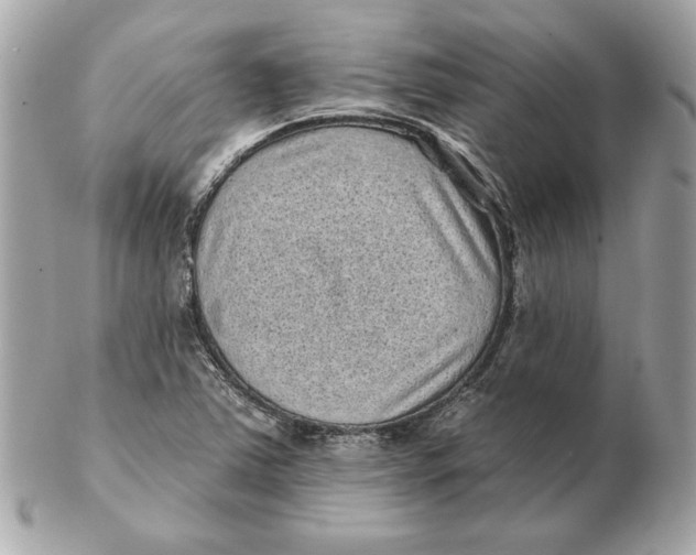 X0000102461363200808291533