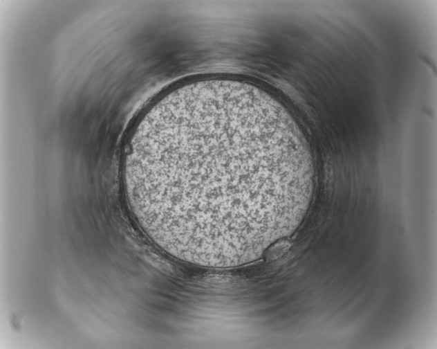 X0000102461364200808291533