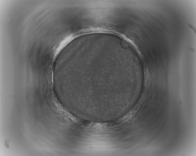 X0000102461365200808291533