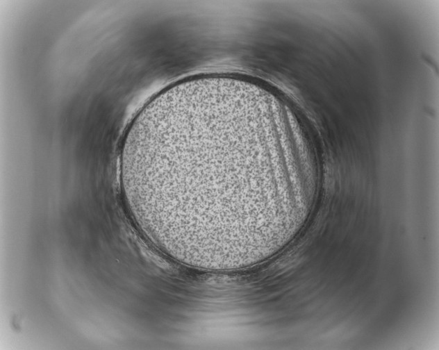 X0000102461366200808291533