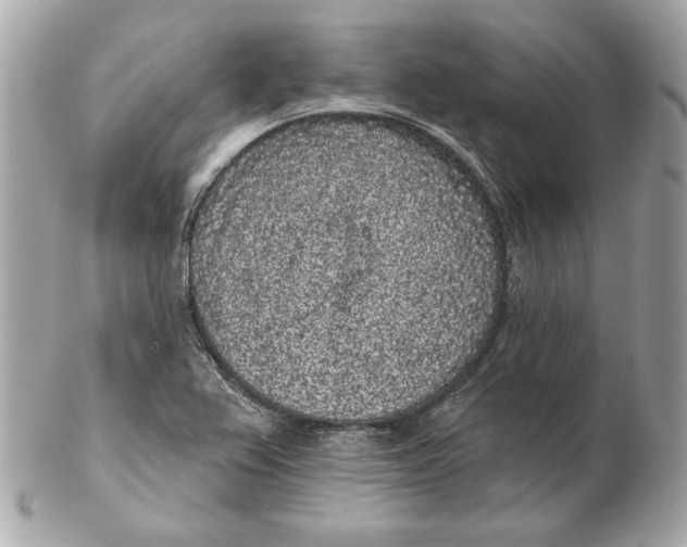 X0000102461367200808291533