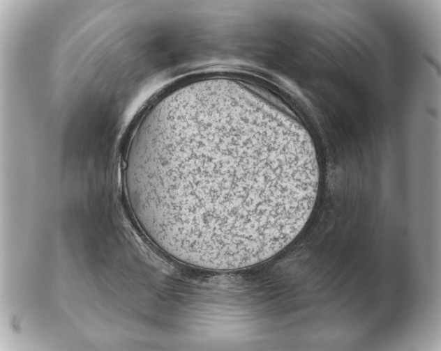 X0000102461368200808291533