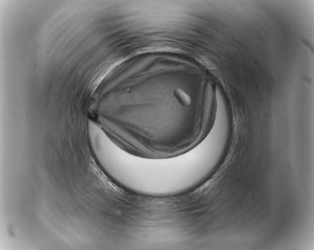 X0000102461369200808291533