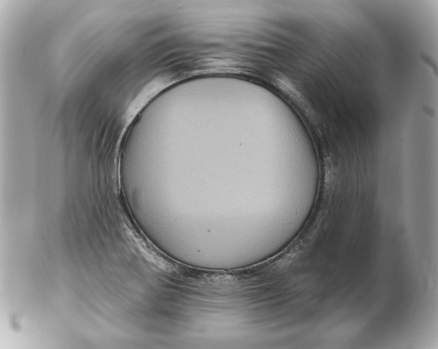 X0000102461370200808291533