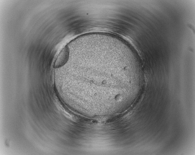 X0000102461371200808291533