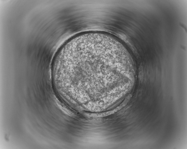 X0000102461372200808291533