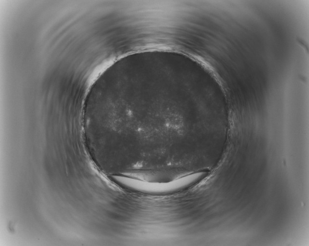 X0000102461373200808291533