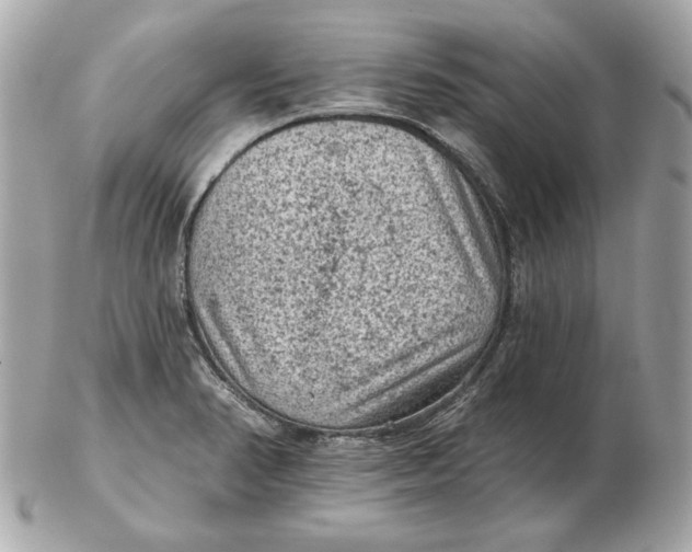 X0000102461374200808291533